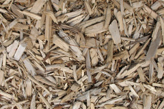 biomass boilers Camer